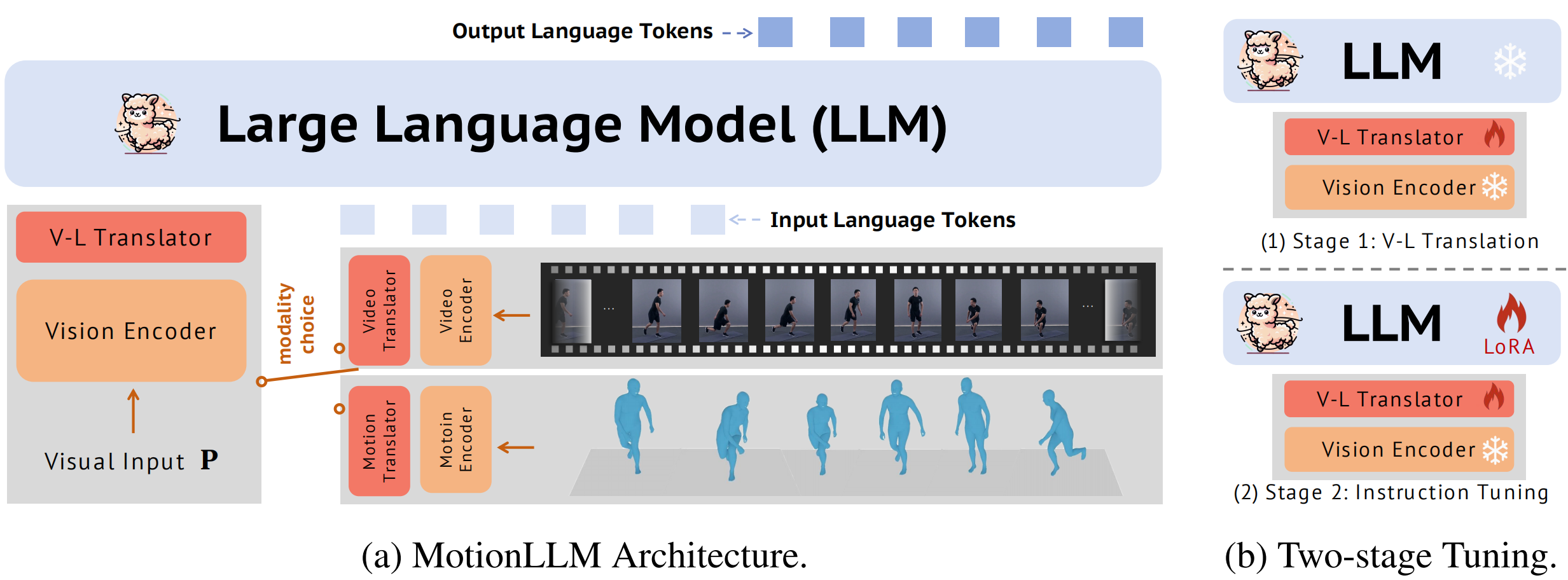 MotionLLM系统概览