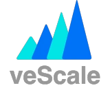 veScale: 引领 PyTorch 原生大语言模型训练的革新