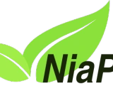 NiaPy: Python微框架助力自然启发算法开发