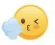 WindyFlo