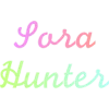 Sora hunters