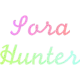 Sora hunters