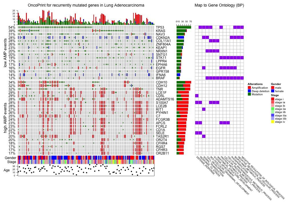 complexheatmap_example1