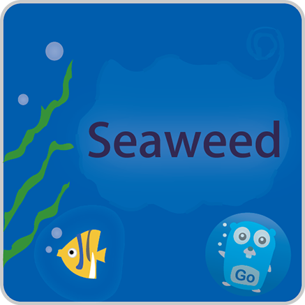 SeaweedFS 标志