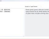 ChatGPT翻译器：AI驱动的多语言翻译新时代