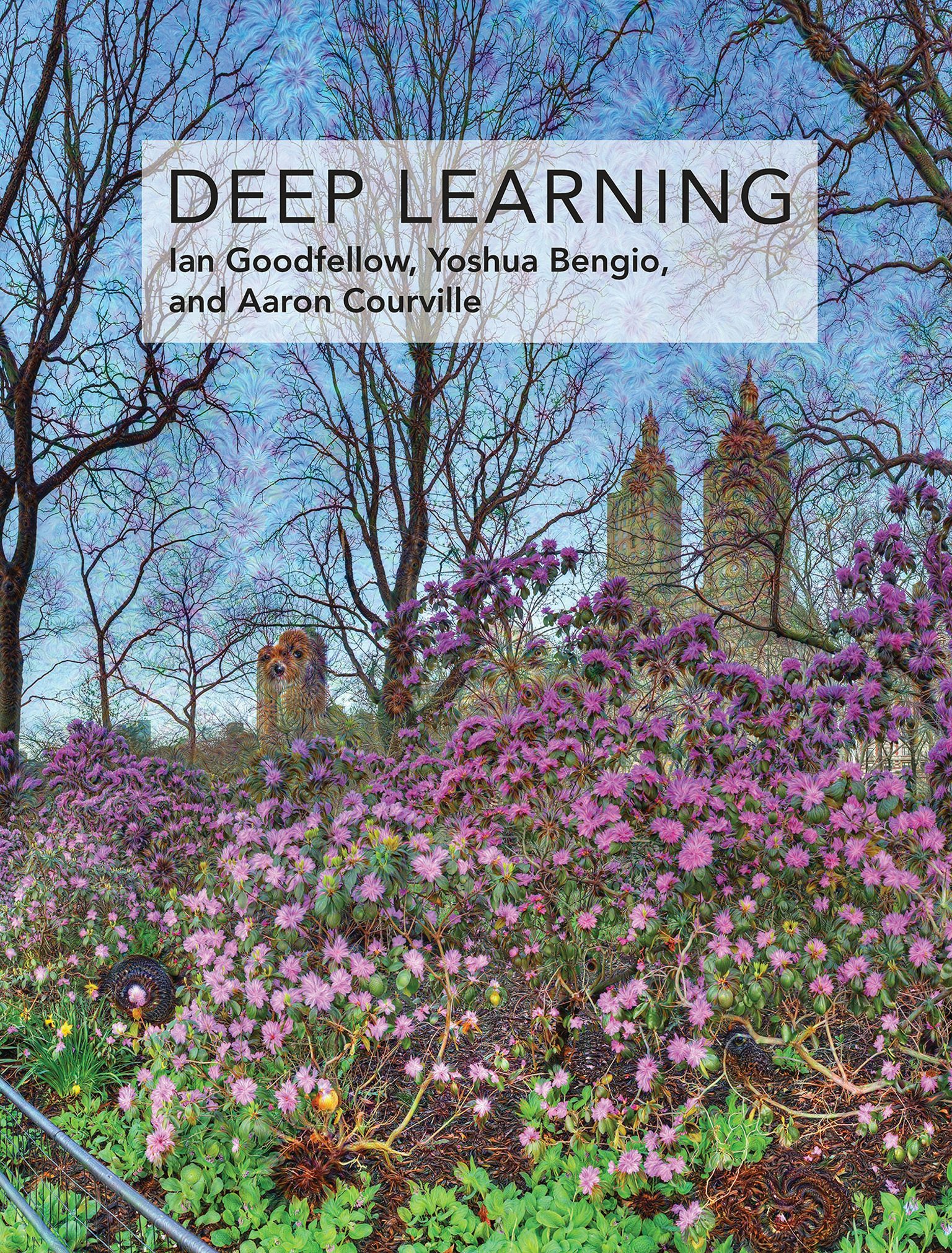 Deep Learning Book