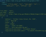 scrapeghost入门学习资料 - 基于GPT的实验性网页抓取库