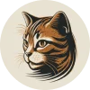 Tabby
