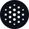 Chat Blackbox