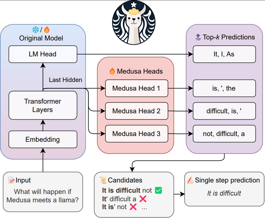 Medusa pipeline