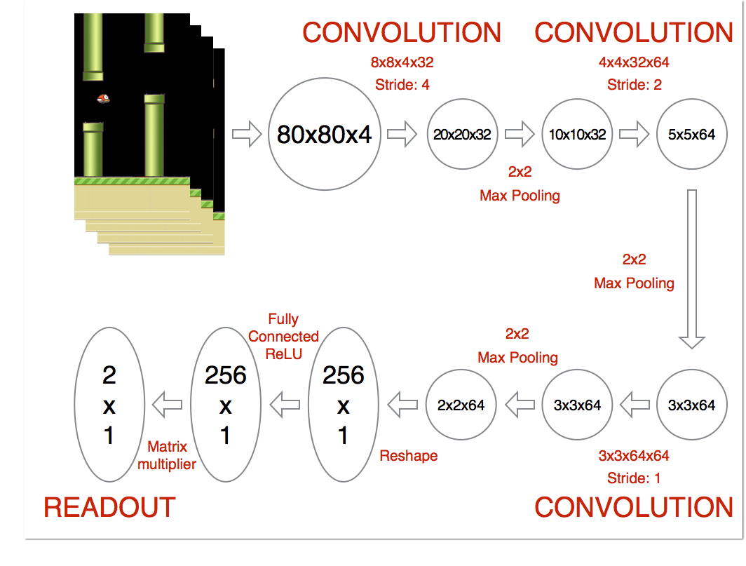 Network Architecture