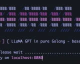 llama.go: 纯Go语言实现的LLaMA模型推理框架