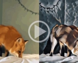 Fast Style Transfer: 快速将艺术风格应用于图像和视频