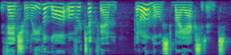 真实的梅尔频谱图