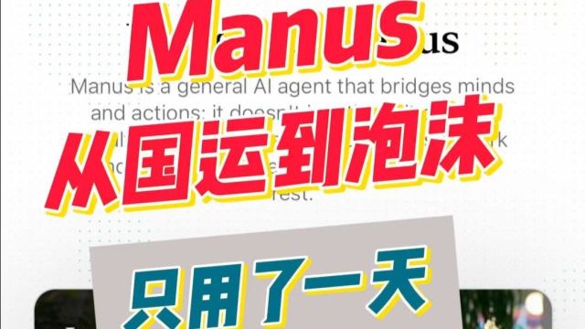 从国运到泡沫，Manus只用了一天